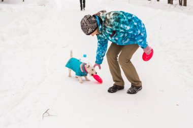 Jack Russell Terrier köpek kış açık havada oyun sahibi kadınla.