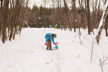 Sevimli köpek - Jack Russell Terrier kış mevsiminde açık havada orta yaşlı kadın