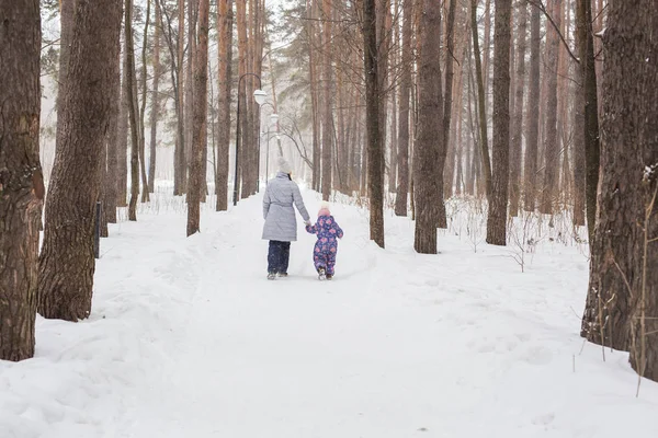 Inverno, as pessoas concepto- mãe está andando com sua filha na floresta de inverno, vista para trás — Fotografia de Stock