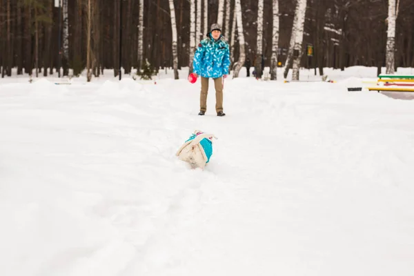 Jack Russell Terrier. Cão brincando no parque de inverno. Conceito de animal . — Fotografia de Stock