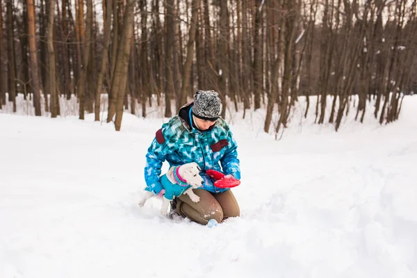 Джек Рассел Терьер. Собака играет в зимнем парке. Концепция домашних животных . — стоковое фото