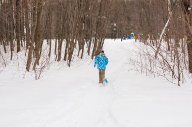 Sevimli köpek - Jack Russell Terrier kış mevsiminde açık havada orta yaşlı kadın