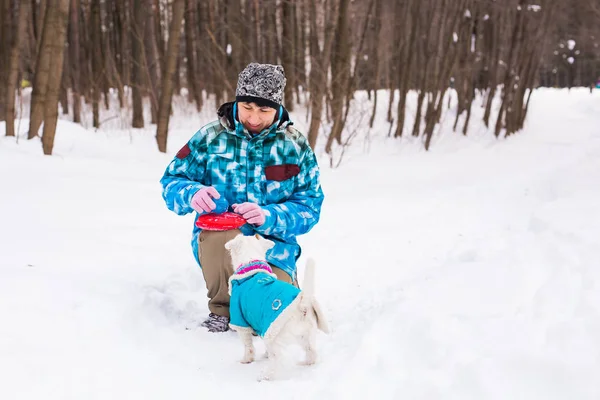Jack Russell Terrier cão com proprietário mulher jogando no inverno ao ar livre . — Fotografia de Stock