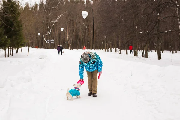 Dono de animais de estimação e conceito de inverno - Mulher de meia-idade brincando com seu cão terrier jack russell no parque nevado . — Fotografia de Stock