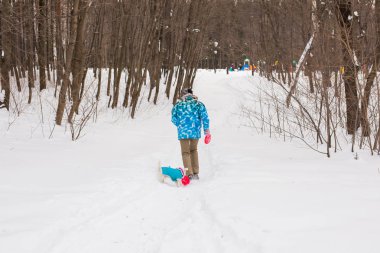 Sevimli köpek - Jack Russell Terrier kış mevsiminde açık havada orta yaşlı kadın