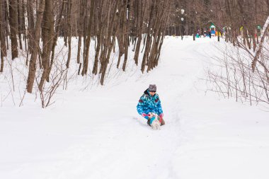 Jack Russell Terrier köpek kış açık havada oyun sahibi kadınla.