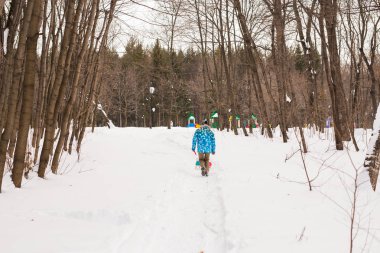 Sevimli köpek - Jack Russell Terrier kış mevsiminde açık havada orta yaşlı kadın