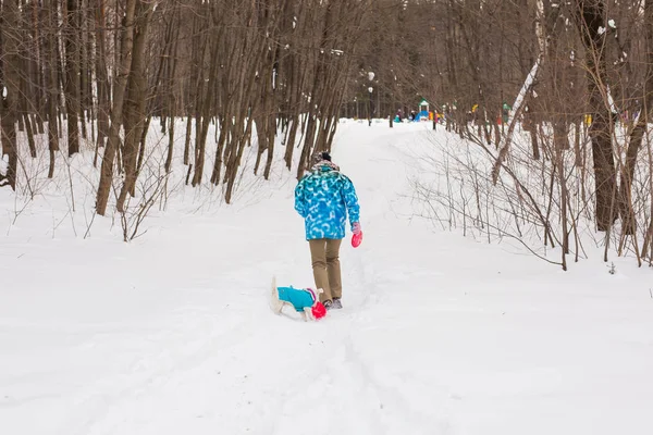 Sevimli köpek - Jack Russell Terrier kış mevsiminde açık havada orta yaşlı kadın