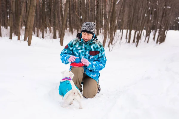 Jack Russell Terrier. Perro jugando en el parque de invierno. Concepto de mascota . — Foto de Stock