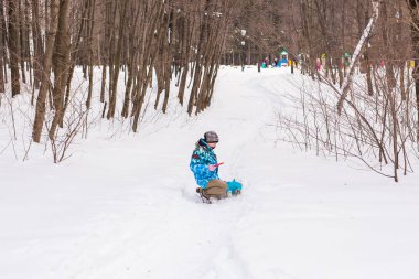 Jack Russell Terrier köpek kış açık havada oyun sahibi kadınla.