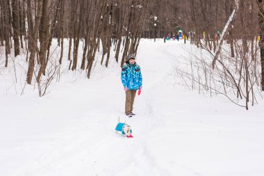 Jack Russell Terrier. Kış parkta oynayan köpek. Evde beslenen hayvan kavramı.