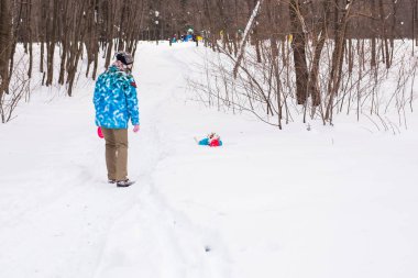 Jack Russell Terrier köpek kış açık havada oyun sahibi kadınla.