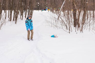 Jack Russell Terrier. Kış parkta oynayan köpek. Evde beslenen hayvan kavramı.