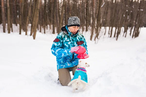 Jack Russell Terrier perro con dueño mujer jugando en el invierno al aire libre . — Foto de Stock