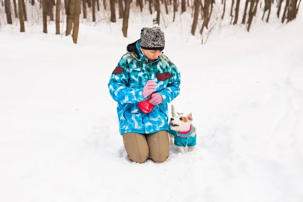 Jack Russell Terrier. Perro jugando en el parque de invierno. Concepto de mascota . — Foto de Stock