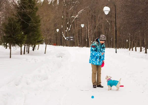 Dono de animais de estimação e conceito de inverno - Mulher de meia-idade brincando com seu cão terrier jack russell no parque nevado . — Fotografia de Stock