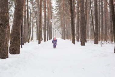 Karlı Ormanda çalışan çocuk. Açık havada oynayan yürümeye başlayan çocuk. Çocuk oyun karlı Park.