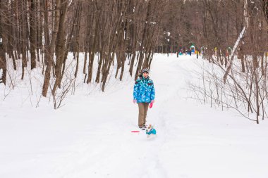 Evcil hayvan sahibi ve kış konsepti - orta yaşlı kadın ona jack ile oynarken russell terrier köpek karlı Park.