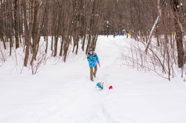 Sevimli köpek - Jack Russell Terrier kış mevsiminde açık havada orta yaşlı kadın