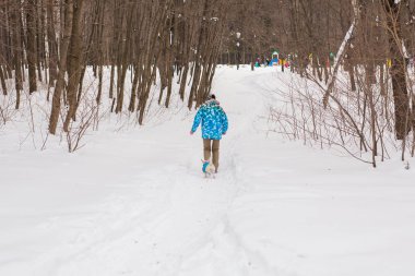 Jack Russell Terrier. Kış parkta oynayan köpek. Evde beslenen hayvan kavramı.