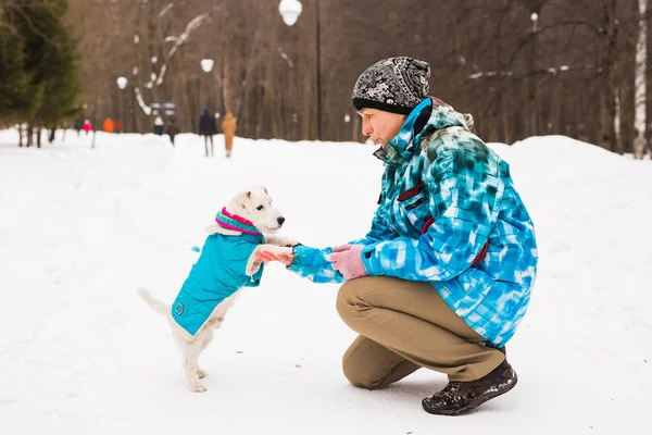 Propietario de mascotas y concepto de invierno - Mujer de mediana edad jugando con su perro jack russell terrier en el parque cubierto de nieve . — Foto de Stock