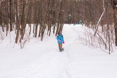 Jack Russell Terrier köpek kış açık havada oyun sahibi kadınla.