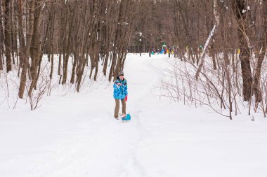 Jack Russell Terrier. Kış parkta oynayan köpek. Evde beslenen hayvan kavramı.