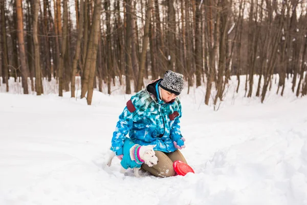 Джек Рассел Терьер собака с владельцем женщина играет зимой на открытом воздухе . — стоковое фото