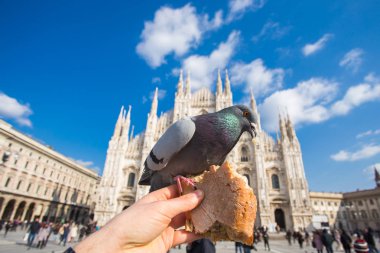 Seyahat, tatil, İtalya ve kuşlar kavramı - Piazza del Duomo, Milano üzerinde güvercin besleme.