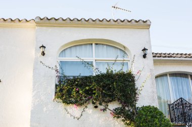 Tasarım, Mimarlık ve dış kavramı - bitkiler üzerinde beyaz cephe ile büyük pencere