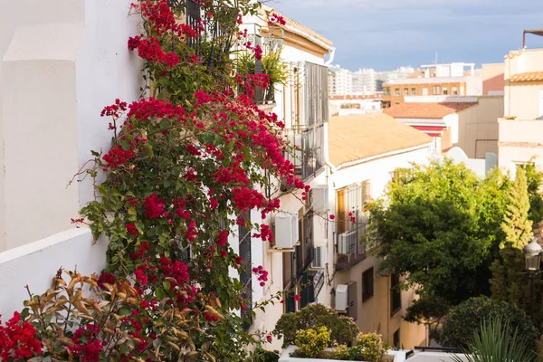 Design, architecture et concept extérieur - Architecture Espagne. Lierre fleuri avec des fleurs rouges sur un mur de la maison . — Photo