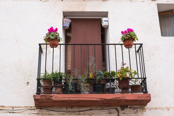 Classic balcony with flowers and green plants. — Stock Photo, Image