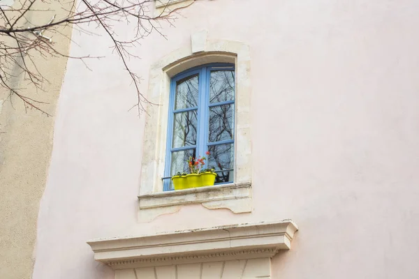 Diseño, arquitectura y concepto exterior - Ventana azul con maceta en la fachada blanca — Foto de Stock