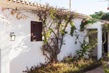 Yeni inşa edilmiş lüks ev güzel dış. Yeşil çim ve geçit ile bahçesinde