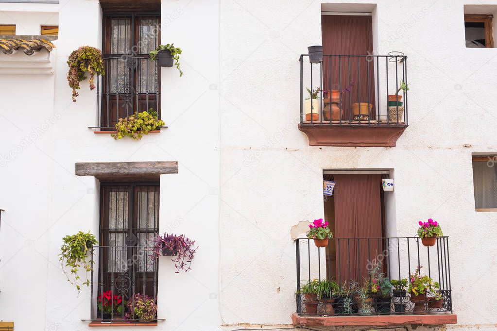 Classic balconies with flowers and green plants.