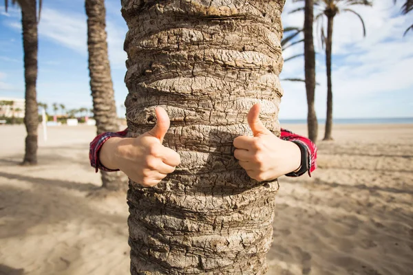 Zomervakantie, toerisme en reizen concept - een gebaar van duim omhoog teken tegen de palm tree. — Stockfoto