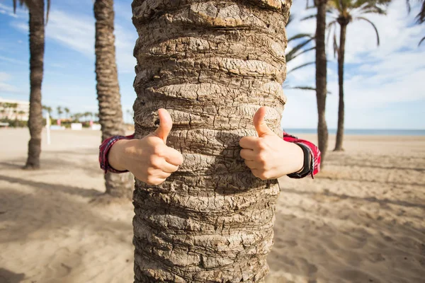Zomervakantie, toerisme en reizen concept - een gebaar van duim omhoog teken tegen de palm tree. — Stockfoto