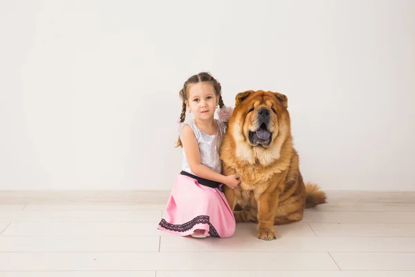 Husdjur, barn och vänskap koncept - liten flicka kramar hennes hund chow-chow över vit bakgrund med kopia utrymme — Stockfoto