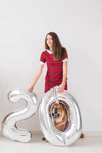 Propietario de mascotas, aniversario, cumpleaños y concepto animal - perro Chow-chow con su propietario. Primer plano de la mujer joven tiene el número veinte . — Foto de Stock