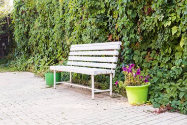 Yeşil bush arka plan beyaz tezgah