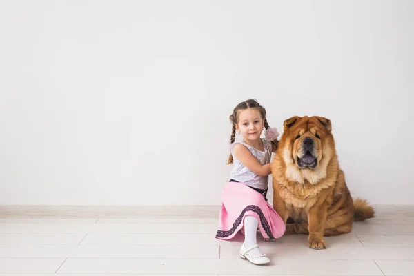 Mascotas, niños y concepto de amistad - Niña abrazando a su perro chow-chow sobre fondo blanco con espacio para copiar — Foto de Stock