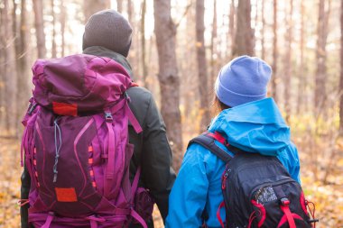 İnsanlar, yürüyüş, turizm ve doğa kavramı - sonbahar ormanda hiking kaç turist arkadan görünüm