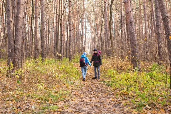 Viagens, turismo, caminhada e conceito de pessoas - Casal com mochilas andando na floresta de outono, visão traseira — Fotografia de Stock