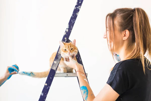 Young woman painter, designer and worker paints the wall. The cat sits next on the ladder and looks at the work.