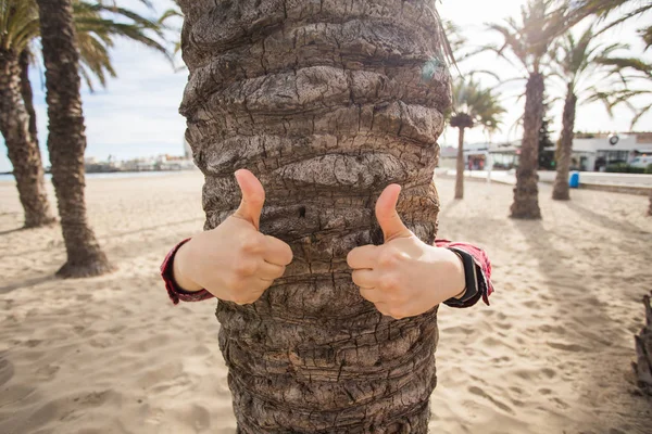 Zomervakantie, toerisme en reizen concept - een gebaar van duim omhoog teken tegen de palm tree. — Stockfoto