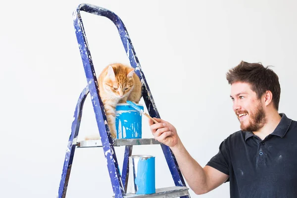 Renovation, redecoration and family concept - Young funny man and a cat during renovation in apartment — Stock Photo, Image