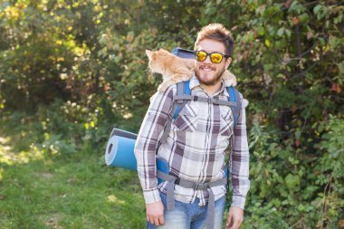Seyahat, Macera, zam, turizm ve doğa kavramı - turist ile kedi ormanda yürüyüş
