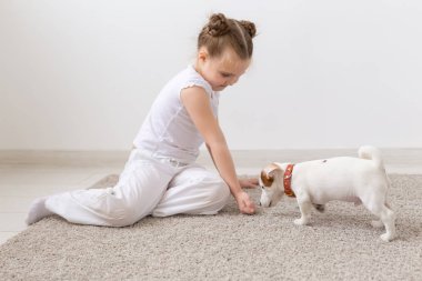 İnsanlar, Evcil hayvan ve hayvan kavramı - beyaz arka plan ve holding köpek yavrusu Jack Russell Terrier üzerinde katta oturan küçük kız