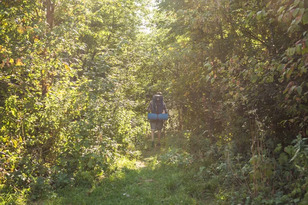 Reizen, avonturen, wandeling, toerisme en natuur concept - toeristische wandelen in het bos — Stockfoto