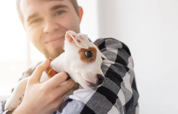 La gente y el concepto de mascotas - Primer plano retrato de gato russell terrier cachorro sentado en las manos del hombre — Foto de Stock